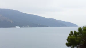 Ήρεμη ελληνική ακτογραμμή με πευκόφυτους λόφους και θάλασσα
