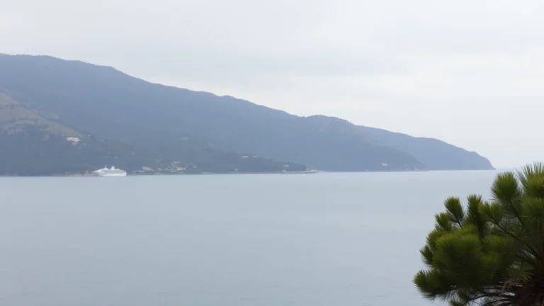 Ή&rho;&epsilon;&mu;&eta; &epsilon;&lambda;&lambda;&eta;&nu;&iota;&kappa;ή &alpha;&kappa;&tau;&omicron;&gamma;&rho;&alpha;&mu;&mu;ή &mu;&epsilon; &pi;&epsilon;&upsilon;&kappa;ό&phi;&upsilon;&tau;&omicron;&upsilon;&sigmaf; &lambda;ό&phi;&omicron;&upsilon;&sigmaf; &kappa;&alpha;&iota; &theta;ά&lambda;&alpha;&sigma;&sigma;&alpha;